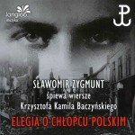 Okładka - Elegia o chłopcu polskim