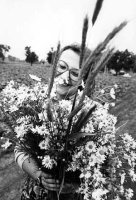 Kazimierz Dolny